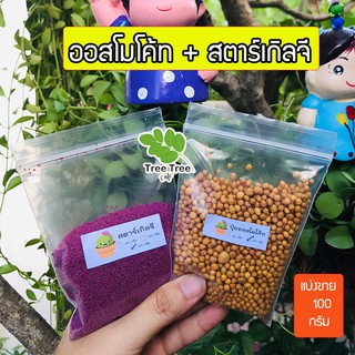 Local ฟาร์มสุข 🚛 สตาร์เกิล จี (Starkle G) + ออสโมโค้ท (Osmocote)  ขนาด 100 กรัม