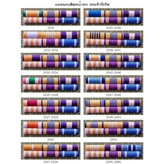 แพรแถบข้าราชการ 6 ชนิด ประจำปีพุทธศักราช ปีเกิด
