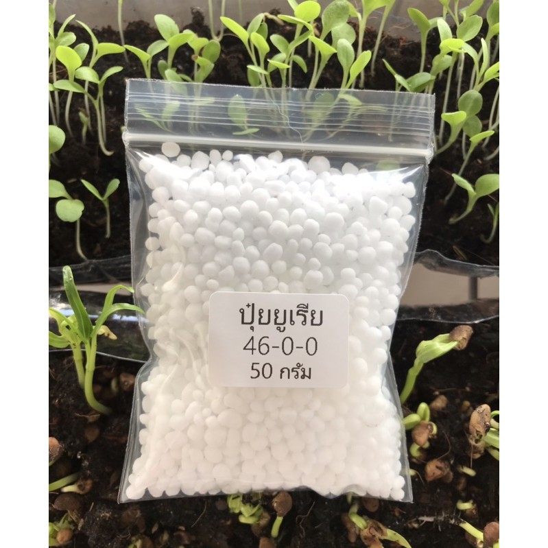 ปุ๋ยยูเรีย 46-0-0 แบ่งขาย 50 กรัม เม็ดสีขาว ละลายน้ำง่าย ดูดความชื้นได้เร็ว