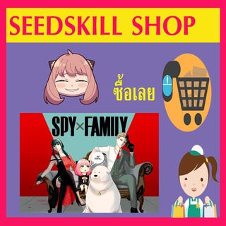 Spy x Family (ไม่มีการ์ด) แยกเล่ม