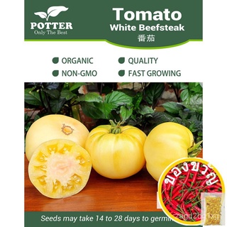 Potter - Tomato White Beefsteak vegetable seeds, 10 seedsผักชี/บ้านและสวน/seeds/เสื้อ/หมวก/พาสต้า/ผู้ชาย/เด็ก/กระโปรง/เม