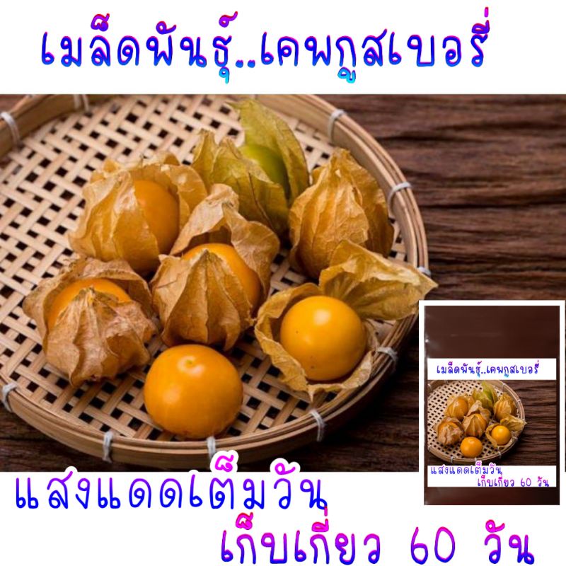 My Image 45