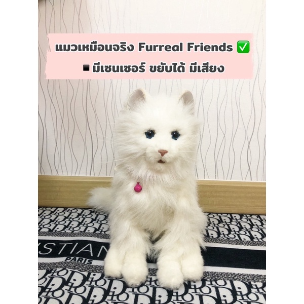 ตุ๊กตาแมวเหมือนจริง Furreal Friends ✅