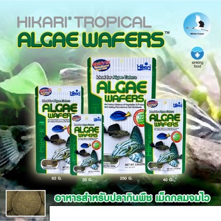 Hikari ALGAE WAFERS 20g./40g./82g. Tropical ฮิคาริ ทรอปิคอล แอลเก้ เวเฟอร์ อาหารปลากินพีช กินตะไคร่น้ำ เม็ดจม จมไว wafer