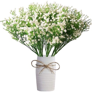 Gypsophila ดอกไม้จริง สําหรับตกแต่งบ้าน สวน งานแต่งงาน ปาร์ตี้