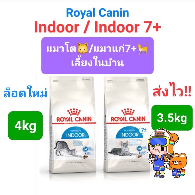 Royal Canin Indoor 4kg Exp.2026 / Indoor 7+ 3.5kg Exp.2026 โรยัลคานิน อาหารแมวโต เลี้ยงในบ้าน / แมวแก่ ถุง 3.5 – 4 กก.