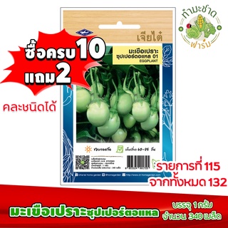 (ซื้อ10แถม2) เมล็ดพันธุ์ มะเขือเปราะ ซุปเปอร์ตอแหล Eggplant ประมาณ 340เมล็ด เจียไต๋ เมล็ดพันธุ์พืช เมล็ดพันธุ์ผัก