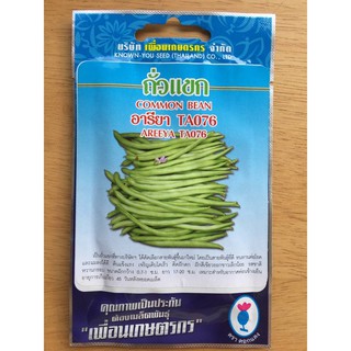 เมล็ดถั่วแขก SNAP PEA  ทนโรคและแมลง แข็งแรง โตเร็ว ฝักดก รสชาติดี