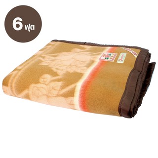   ผ้าห่มโบตั๋น  คละสี ขนาด 6 ฟุต รุ่น Lotus-Botun-6-feet-Blanket-Mattress-big-00E-psk2