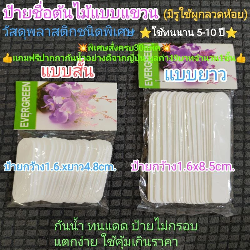 ป้ายชื่อต้นไม้กันน้ำ100ชิ้น(ป้ายอ่อน)👍โดนแดดไม่กรอบแตกง่ายใช้ทนนาน5ปี-10ปีวัสดุพลาสติกเหนียว⭐สวนที่ชอบป้ายใช้งานทนๆแนะนำ