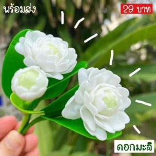 ดอกไม้ติดผม ดอกไม้ดินประดิษฐ์ ดอกมะลิจิ๋ว