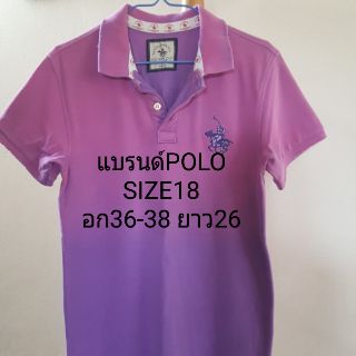 เสื้อโปโลผู้ชาย แบรนด์ POLO