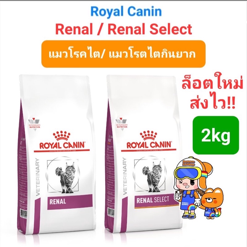 Royal Canin Renal / Renal Select แมว cat 2kg แมวโรคไต แมวเลือกกิน สูตรเพิ่มกลิ่น โรยัลคานิน รอยัลคานิน ขนาด 2 กิโลกรัม