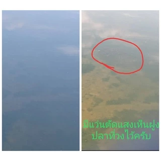 แว่นยิงปลาเลนส์ออโต้ ตัดแสงมองเห็นปลาชัดมากใส่ได้ทั้งวันแดดไม่มีแสงน้อยก็มองชัดครับ