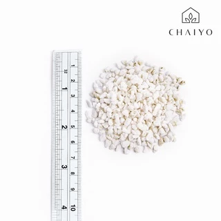 เพอร์ไลท์ แบ่งขาย 3 ลิตร Perlite 3L