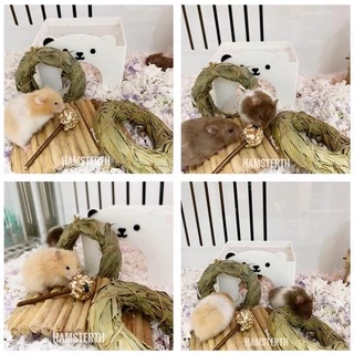 [Hamsterth] อมยิ้ม ลับฟันทำจากหญ้าแห้งอัดก้อน ไม้แอปเปิ้ล ช่วยคลายเครียด ขนมแฮมสเตอร์ ธัญพืช