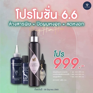 โปรโมชั่น 6.6 ชุดปกปิดผมขาวพร้อมบำรุง (ชุดเล็ก)