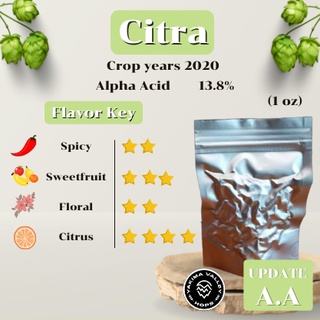 Citra Hops (1oz) (บรรจุด้วยระบบสูญญากาศ)