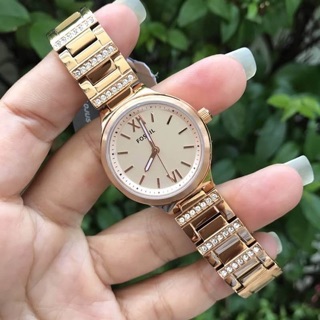 Fossil rosegold