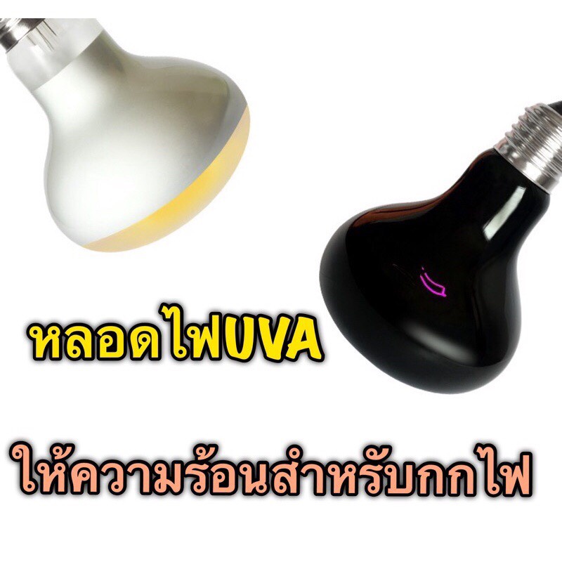 หลอดไฟให้ความร้อน อินฟาเรด หลอดไฟUVA สำหรับกกไฟ ให้ความอบอุ่นสัตว์เลี้ยง สัตว์เลื้อยคลาน เต่าบก กลาง