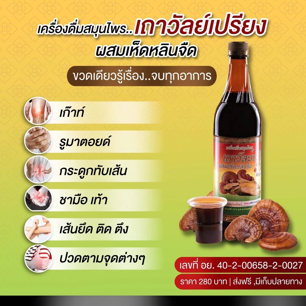 เครื่องดืมสมุนไพร ช่วยลดอาการปวดข้อ สมุนไพรเถาว์วัลย์เปรียง ตราช้างทอง ปวดเข่า ข้อเข่าเสื่อม ปวดหลัง ข้อเข่าเสื่อม