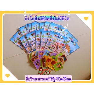 บิงโกสิ่งมีชีวิตสิ่งไม่มีชีวิต#สื่อการสอน