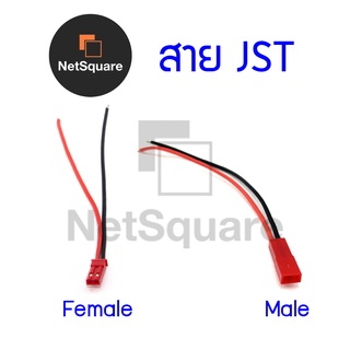 JST Plug 2P 2-Pin สายไฟซิลิโคน Male/Female สายปลั๊ก ตัวผู้และตัวเมีย 22AWG Connector