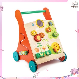 รถเข็นฝึกเดินสำหรับเด็กพร้อมของเล่นมากมายรุ่น Baby Activity Walker แบรนด์ Tender Leaf