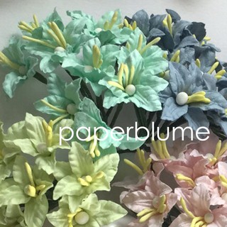 25 mm/ 2.5 ซม / 1 นิ้ว ดอกว่านสี่ทิศเล็ก ดอกไม้กระดาษสา งานประดิษฐ์ งานแต่ง Mulberry Paper Flowers 3LY Pastel โทนพาสเทล4