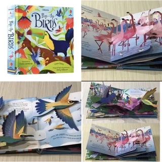 (พร้อมส่ง) หนังสือนิทาน POP UP 3D Usborne หนังสือเด็กภาษาอังกฤษ นิทานเด็ก สีสันสดใส เสริมพัฒนาการเด็ก ฝึกภาษาอังกฤษ