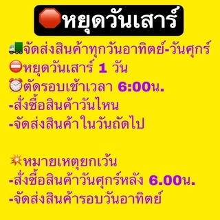 รถด่วนทอด หนอนไม้ไผ่ แมลงทอดซู่ซ่า