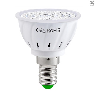 [toolhelper] หลอดไฟ LED E14 สีแดง และสีฟ้า สําหรับปลูกพืชในร่ม