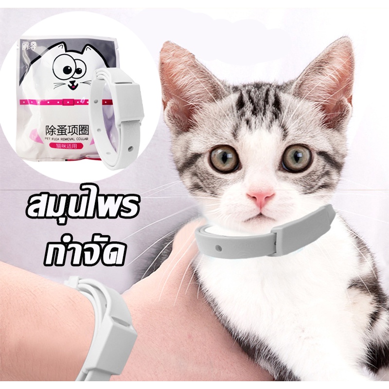 พร้อมส่ง ปลอกคอกำจัดเห็บ หมัด สำหรับ หมา สุนัข แมว กันน้ำได้ ปลอกคอกันเห็บ ปลอกคอกันหมัด ใช้ได้นาน8เดือน