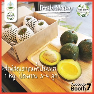 อโวคาโด พันธ์ บูธ7 🥑 ราคาต่อ kg. Booth7 อะโวคาโด  ส่งตรงจากไร่ โครงการหลวง เชียงใหม่ ผลไม้ avocado อาโวคาโด้ สุขภาพ