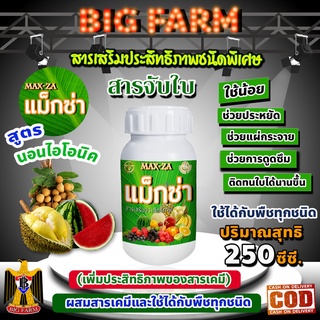 แม็กซ่า Maxza สารจับใบ สารเร่งดูดซึม สารเสริมประสิทธิภาพชนิดพิเศษ ขนาด 250 ซี.ซี.