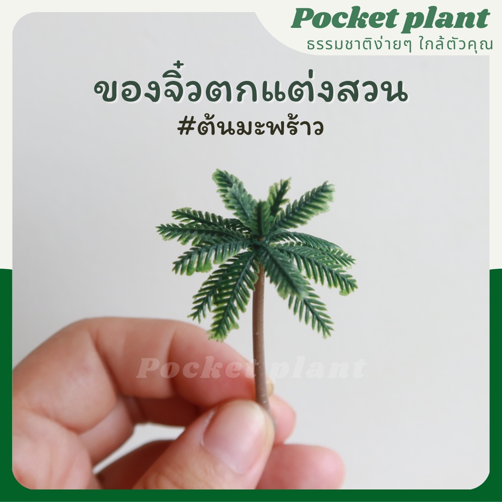 มะพร้าวจิ๋ว ต้นมะพร้าวจิ๋ว ตุ๊กตาแต่งสวนจิ๋ว จัดสวนถาด โมเดลบ้านจิ๋ว [DolD-XS-005] (L-15)