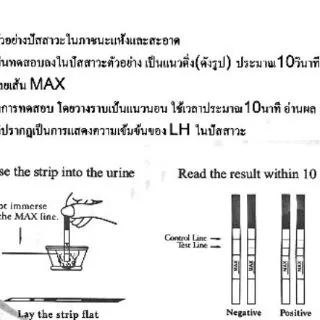 ถ้วยและที่เทสตกไข่ -ไข่ตก LH test Ovulation แถมฟรีถ้วยรองปัสสาวะ