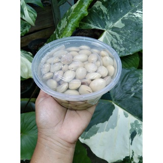 สะตอดองในน้ำเกลือ(300g/99บาท)