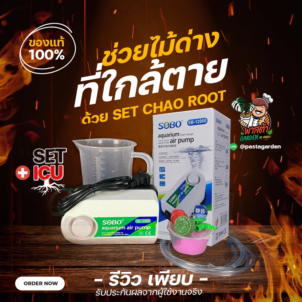 ชุดกู้ชีพไม้ด่างรากกุดรากน้อย ICU Set(ไม่รวมChaoRoot) ช่วยไม้ด่างใกล้ตายสูตรเชฟเฉา กู้ชีพไม้ฟอกอากาศ
