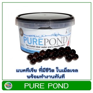 Pure Pond แบคทีเรีย ที่มีชีวิตในเม็ดเจล 500ml / 1000ml บำบัดน้ำ ระบบกรองน้ำบ่อปลา Nitrifying Bacteria