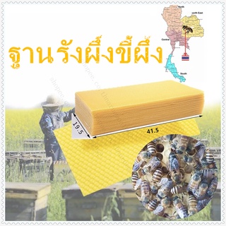 ขี้ผึ้งแท้ๆ ไขผึ้งแท้ๆ Bees waxขี้ผึ้งแท้/ไขผึ้ง บริสุทธิ์จากธรรมชาติรังผึ้ง ขี้ ราคาถูกรวงผึ้งแท้ 100%Dream Hunterแผ่น