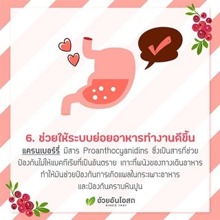 Herbal One Cranberry เฮอร์บัล วัน สารสกัดจากผลแครนเบอร์รี่ [60 แคปซูล]