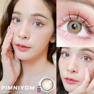 คอนแทคเลนส์🌈Pimniyom🌈 Chestnut / Gray (Wink) ขนาดบิ๊กอาย💖ขายดี🍭