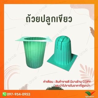 ถ้วยปลูกผักไฮโดรโปนิกส์สีเขียว 40 ใบ by hydroponicgroup