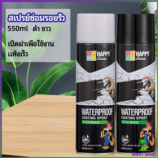 สเปรย์ซ่อมรอยรั่ว สเปรย์ซ่อมแซมผนังซึม ซ่อมฝ้าเพดานรั่ว leak repair spray