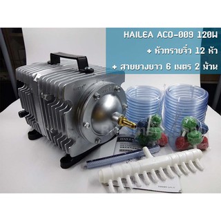 ปั้มลม ปั้มออกซิเจน ปั้มลูกสูบ 120 วัตต์ HAILEA รุ่น ACO-009 ฟรีสายยาง 12ม. หัวทรายจิ๋ว 12หัว พร้อมใช้งาน