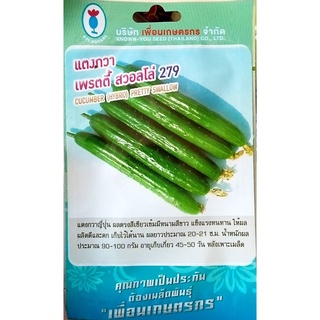 แตงกวา แตงกวาญี่ปุ่น🥒หมดอายุ11/2567🥒แตงกวา เพรตตี้ สวอลโล่279📌เมล็ดพันธุ์ แตงกวาญี่ปุ่น บรรจุ1.10ก./10เมล็ด