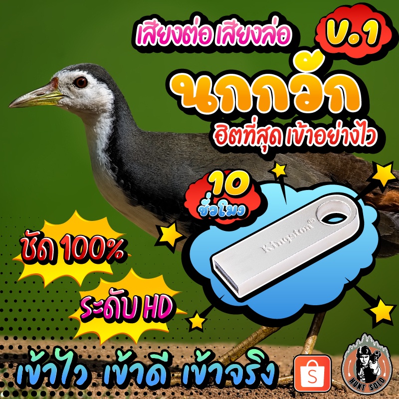 {{ยาว10 ชม.}} เสียงต่อนกกวัก ไก่นา ใส่แฟลชไดร์ฟ ชัด ใส ไม่มีโฆษณาแทรก พร้อมส่ง! มีเก็บเงินปลายทาง!!!
