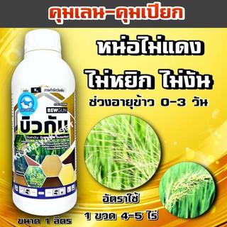 💥 คุมเลน คุมเปียก บิวกัน 1 ลิตร 💥 อ่านก่อนสั่ง💥บิวทาคลอร์ 60% + เซฟเฟนเนอร์  ในนาข้าว ข้าวไม่แดง ไม่หงิก ไม่งัน