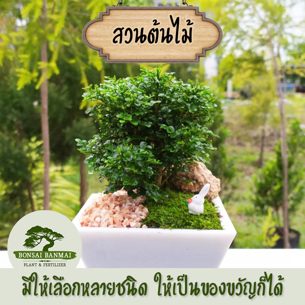 My Image 30